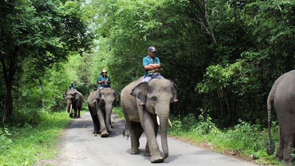 Taman Nasional Way Kambas